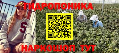 сатива Первоуральск